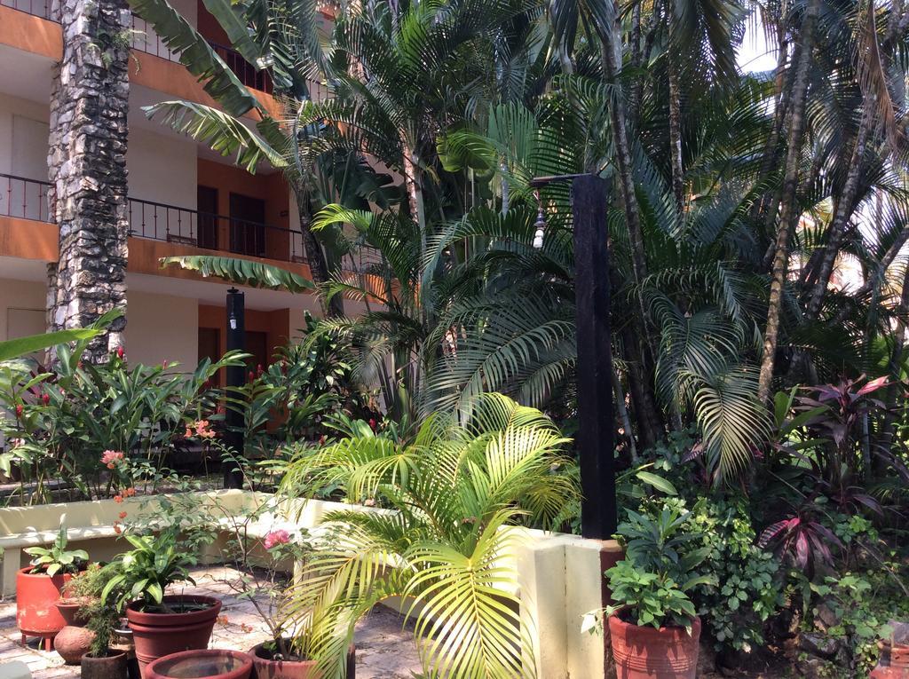 Plaza Hotel&convention Center Palenque